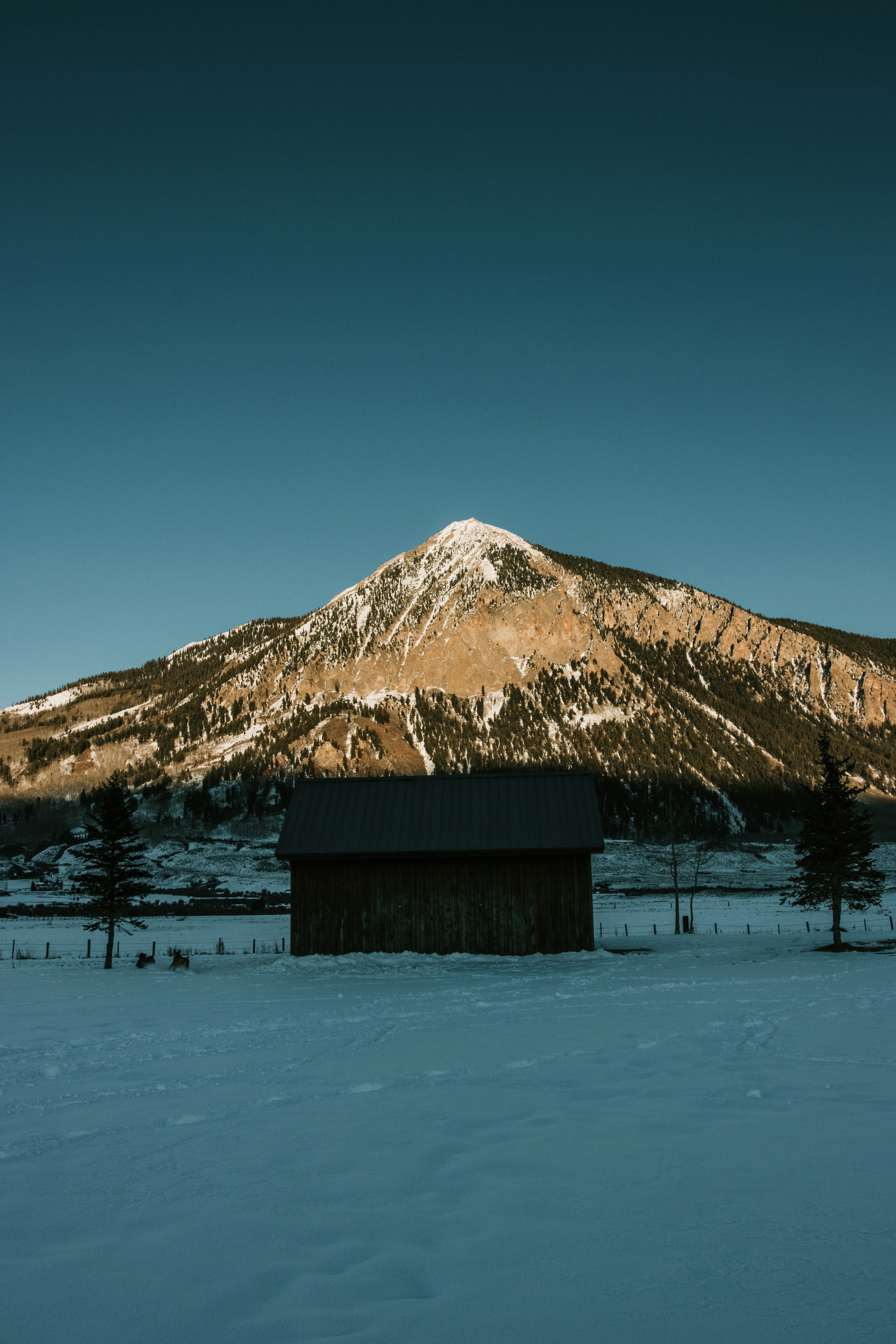 Photo by jakobnoahrosen