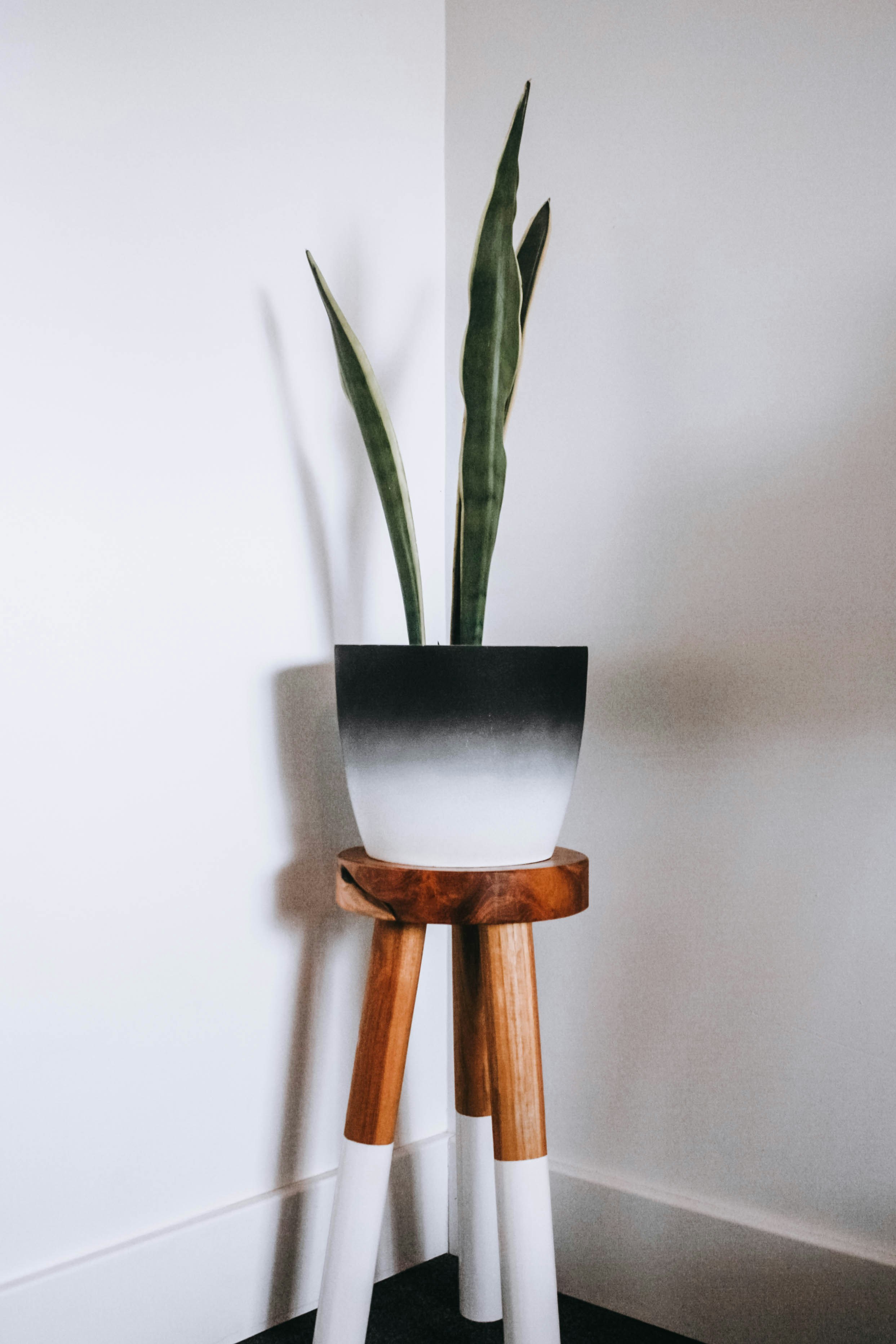 Photo by noellerebekah