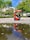 A shoe shiner is working on a red stand in an outdoor park setting. Nearby, a man is seated on a chair, waiting. The surroundings include green trees and a reflection in a large puddle of water on the ground.