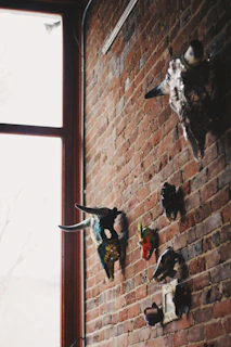 A gallery wall showcasing several handcrafted skull artworks with warm earth tones.