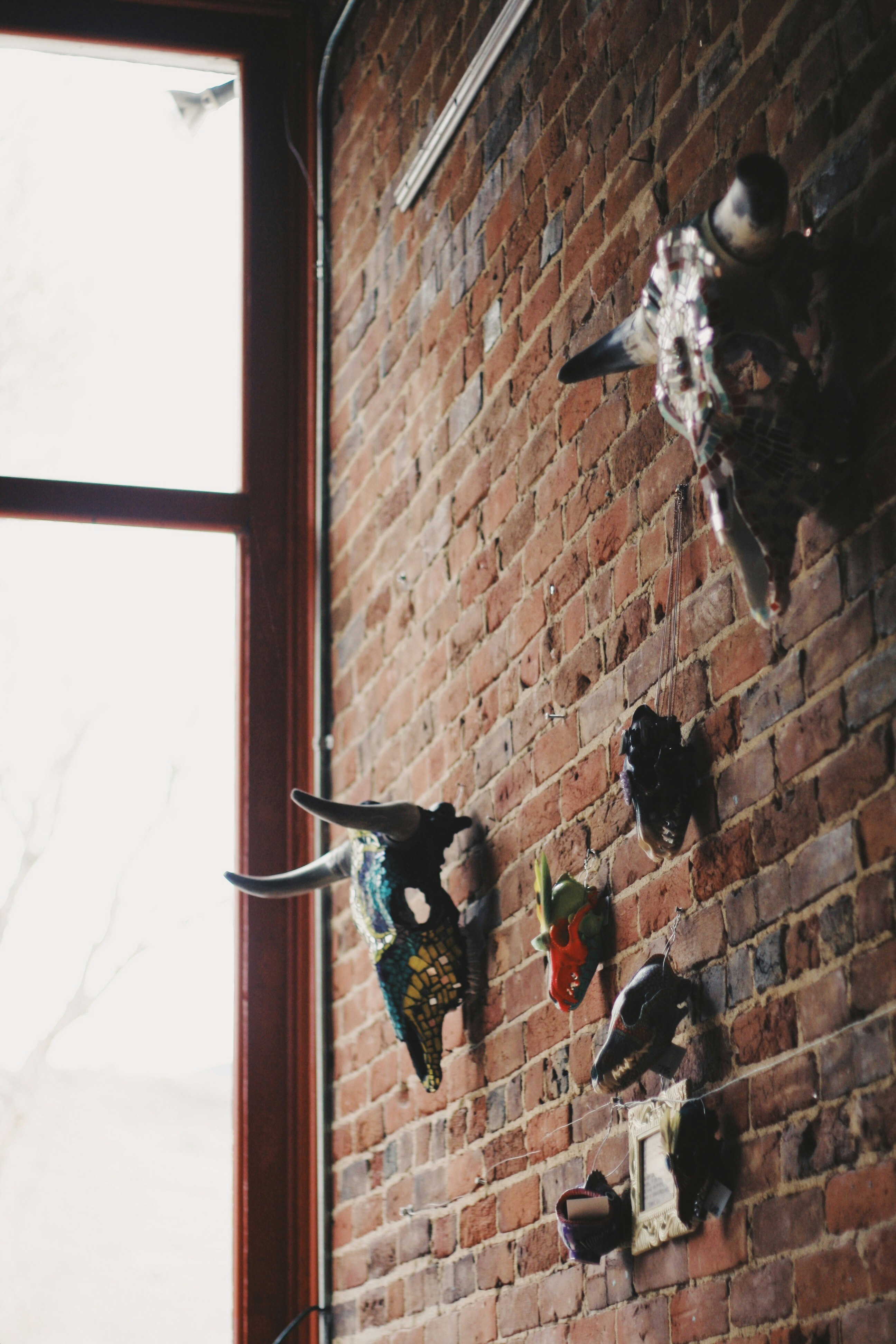 black and white bird on brown brick wall