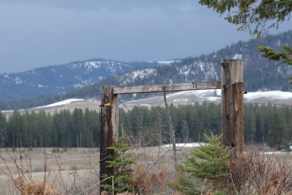 brown wooden fence on green grass field during daytime