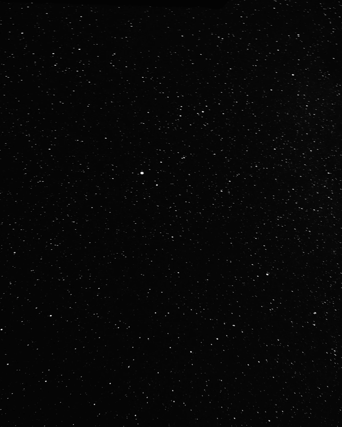 NZ Women vs Zim Women Cricket