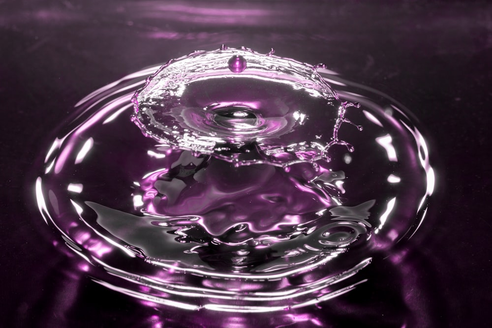 purple and black round illustration