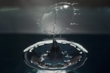 A stunning photograph capturing a moment of creativity.