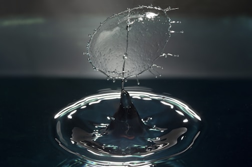 An artistic shot from my photography collection.