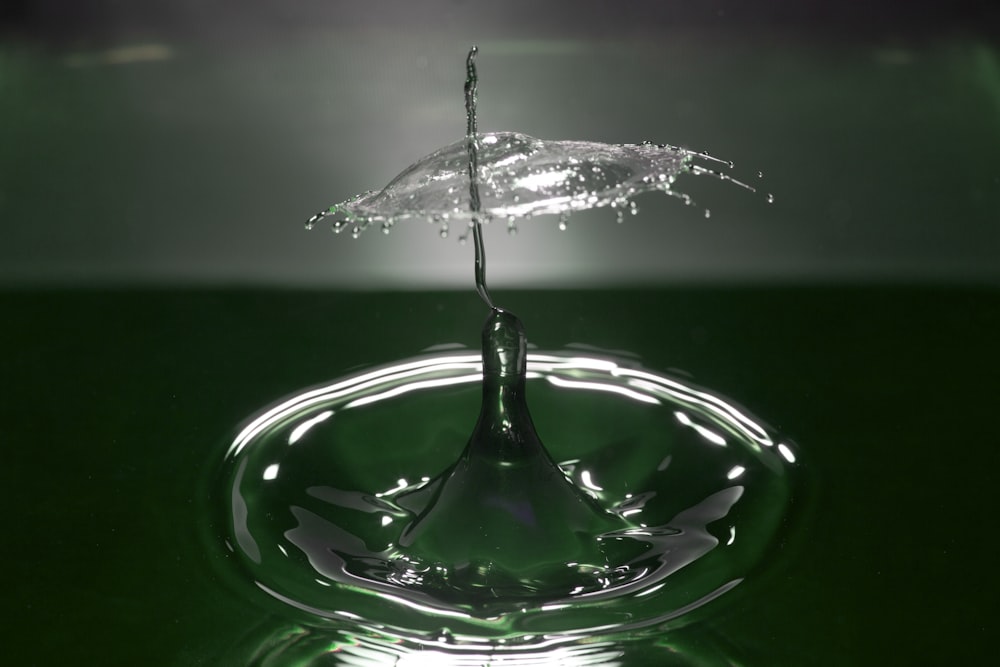 water drop on green surface