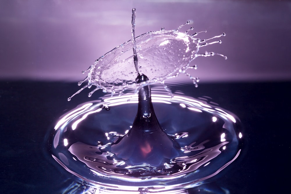 water drop in close up photography