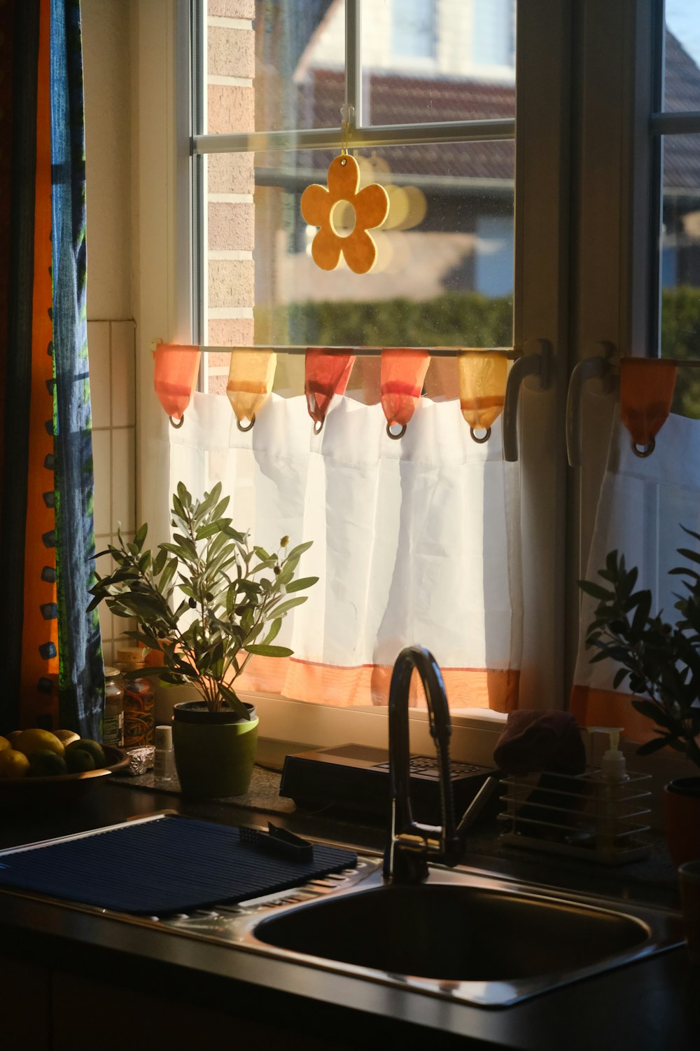 Planta verde en maceta al lado de la ventana