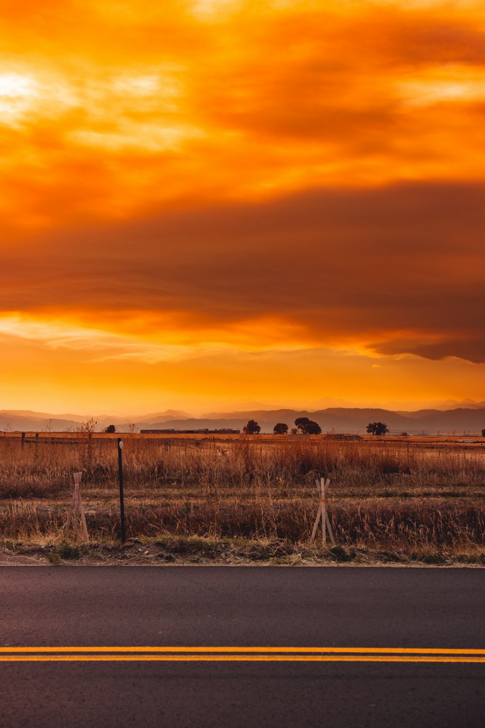 brown grass field during sunset