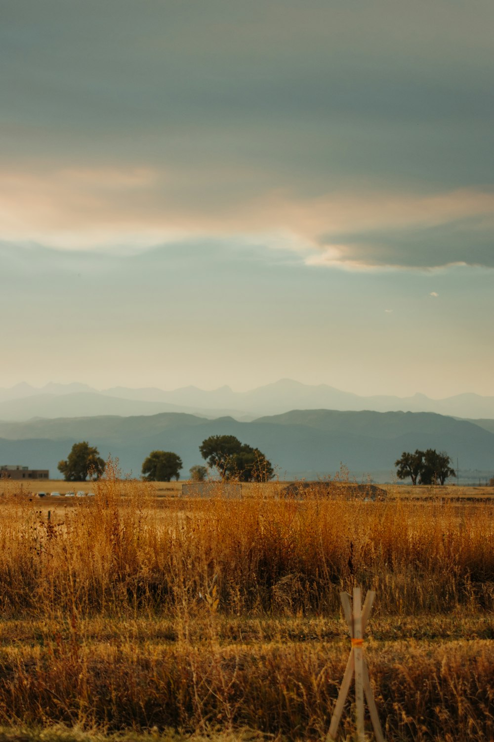 brown grass field under white clouds during daytime