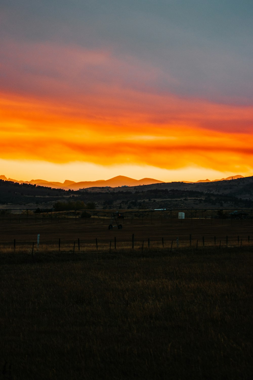 green grass field during sunset