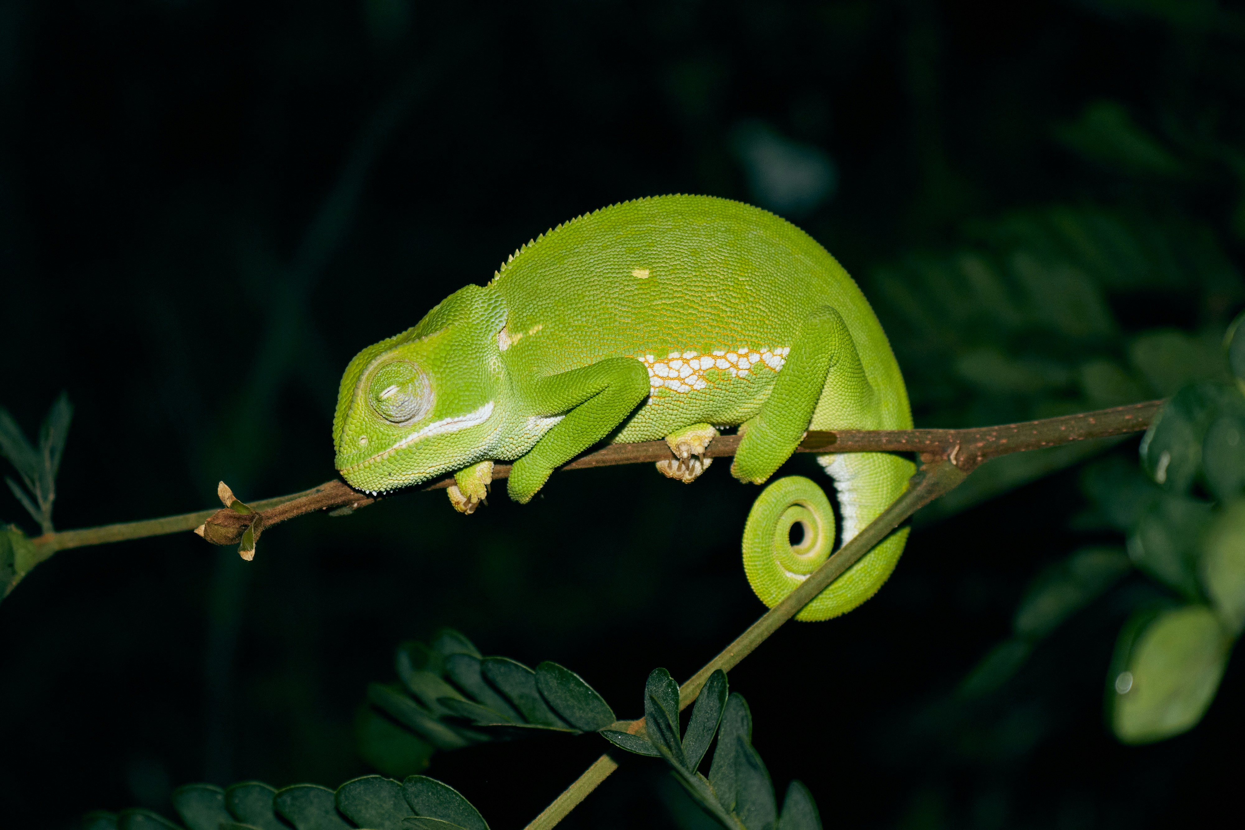 Photo by sphamandlabix