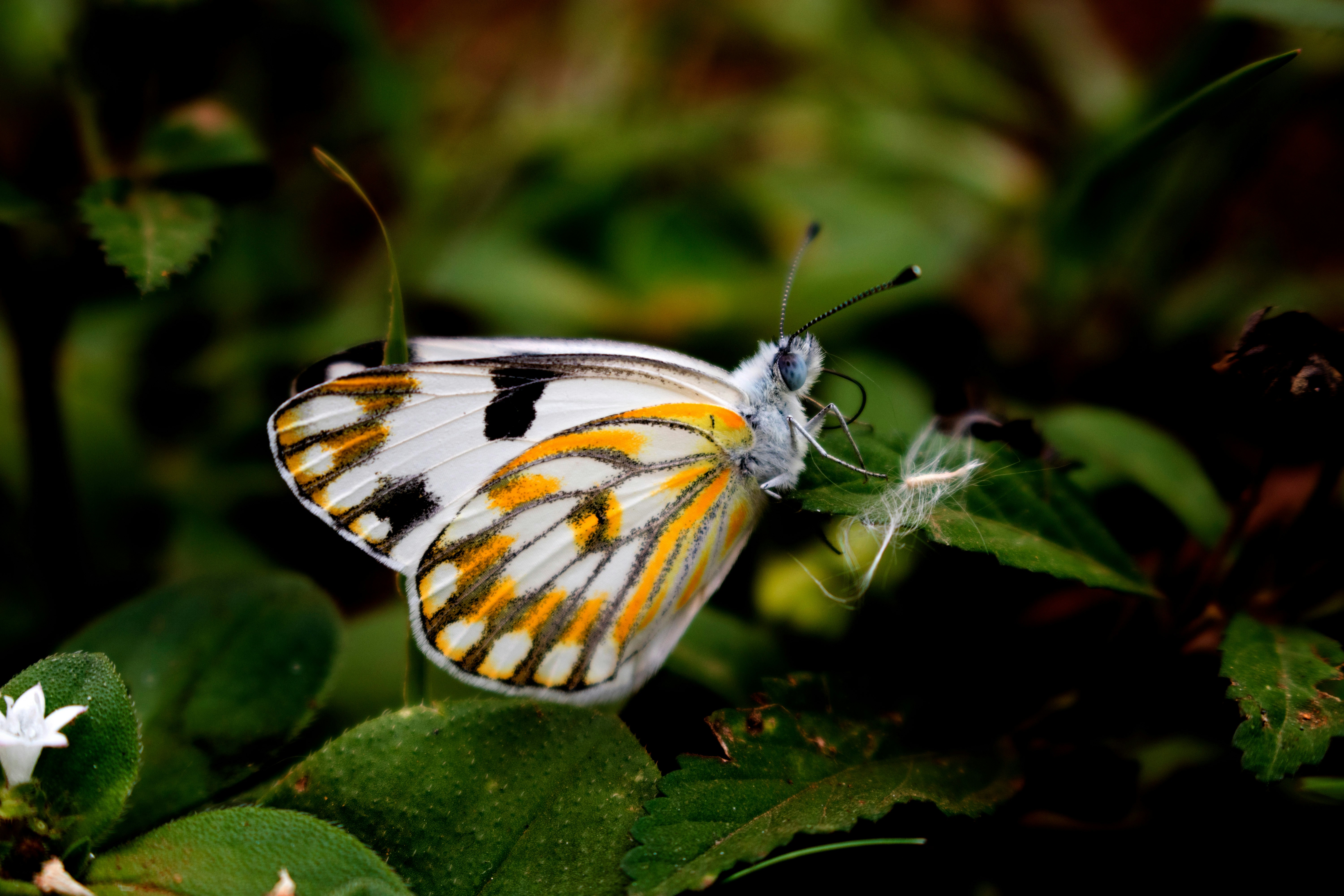 Photo by sphamandlabix