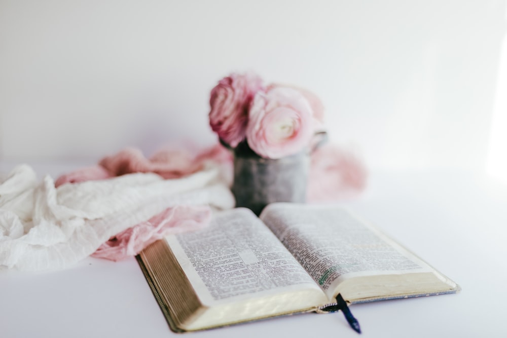 pink rose on book page