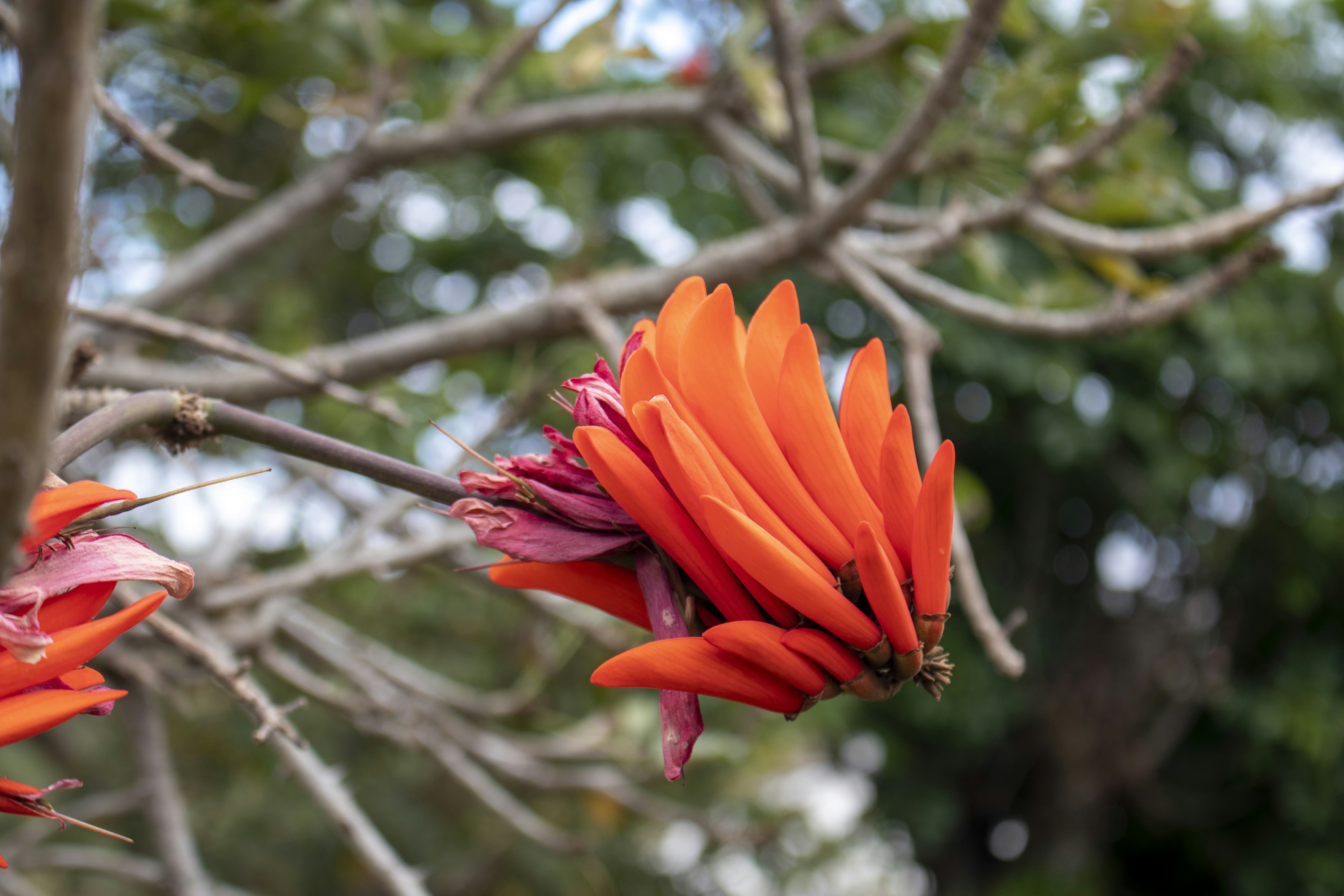 Photo by sphamandlabix