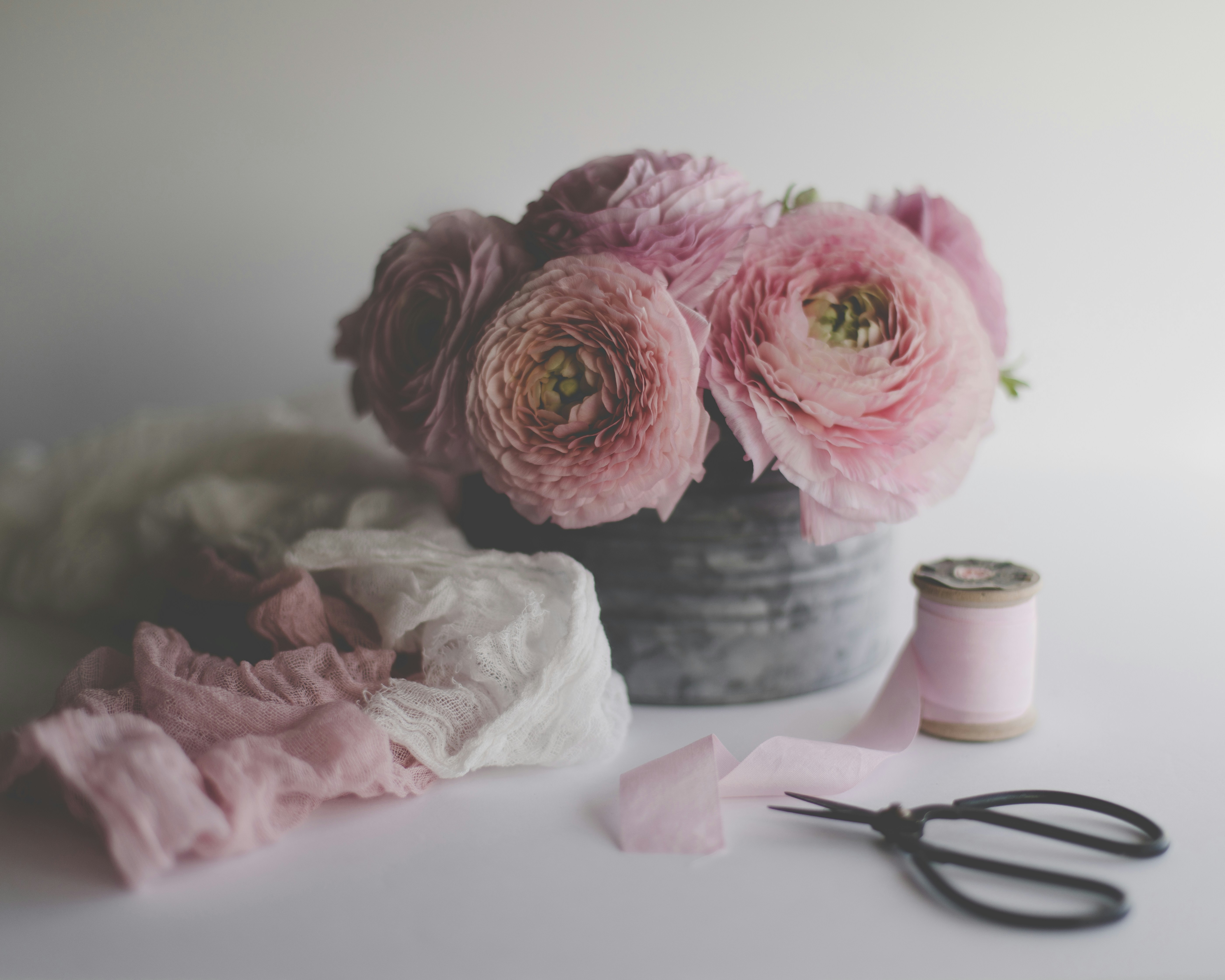 Photo by sixteenmilesout