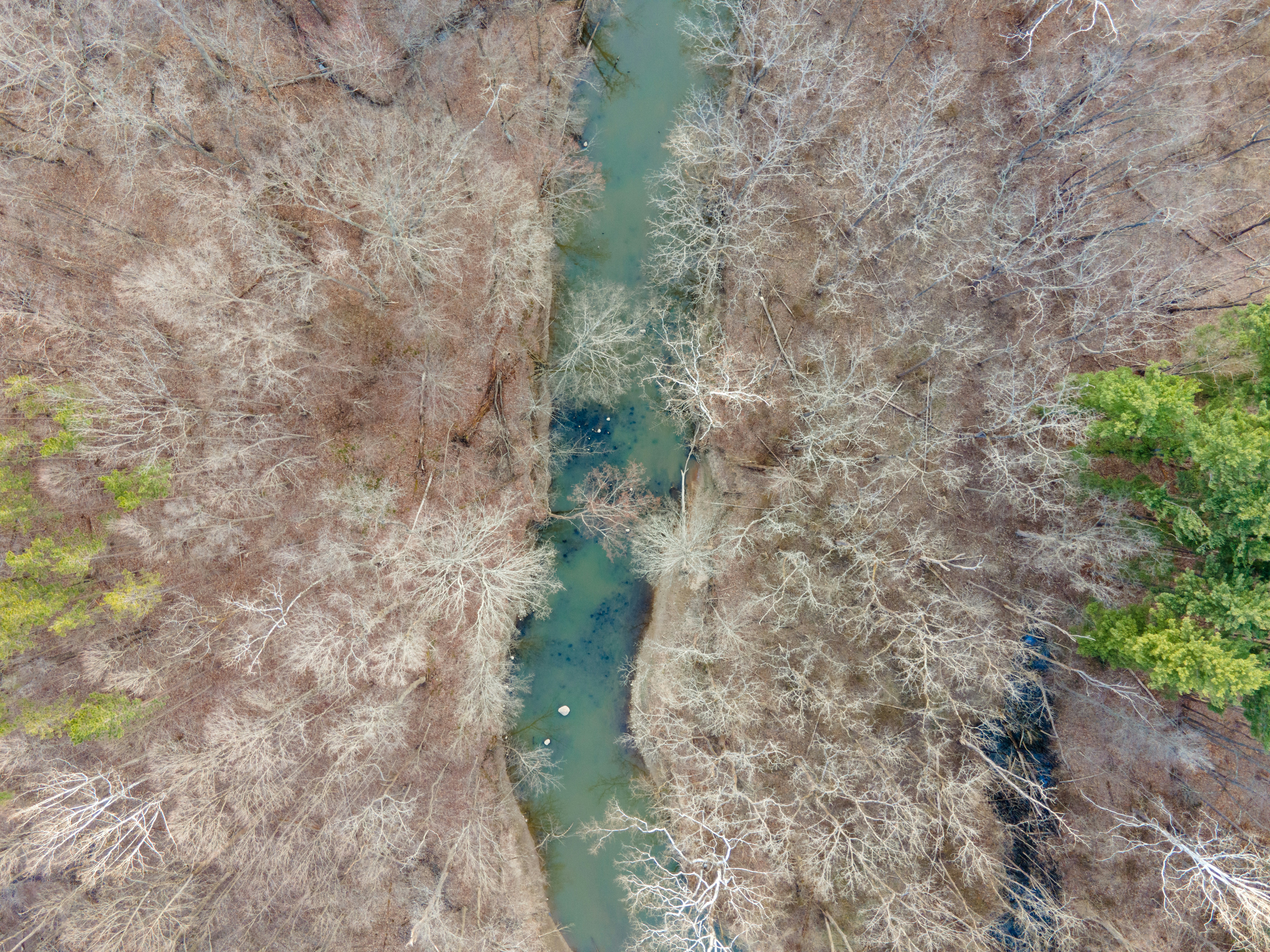 Photo by drkolomiyets