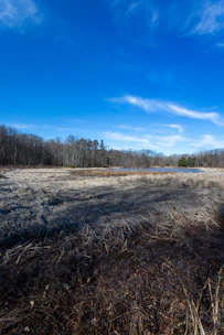 Wide shot of a flat land lot with a small pond and open sky.