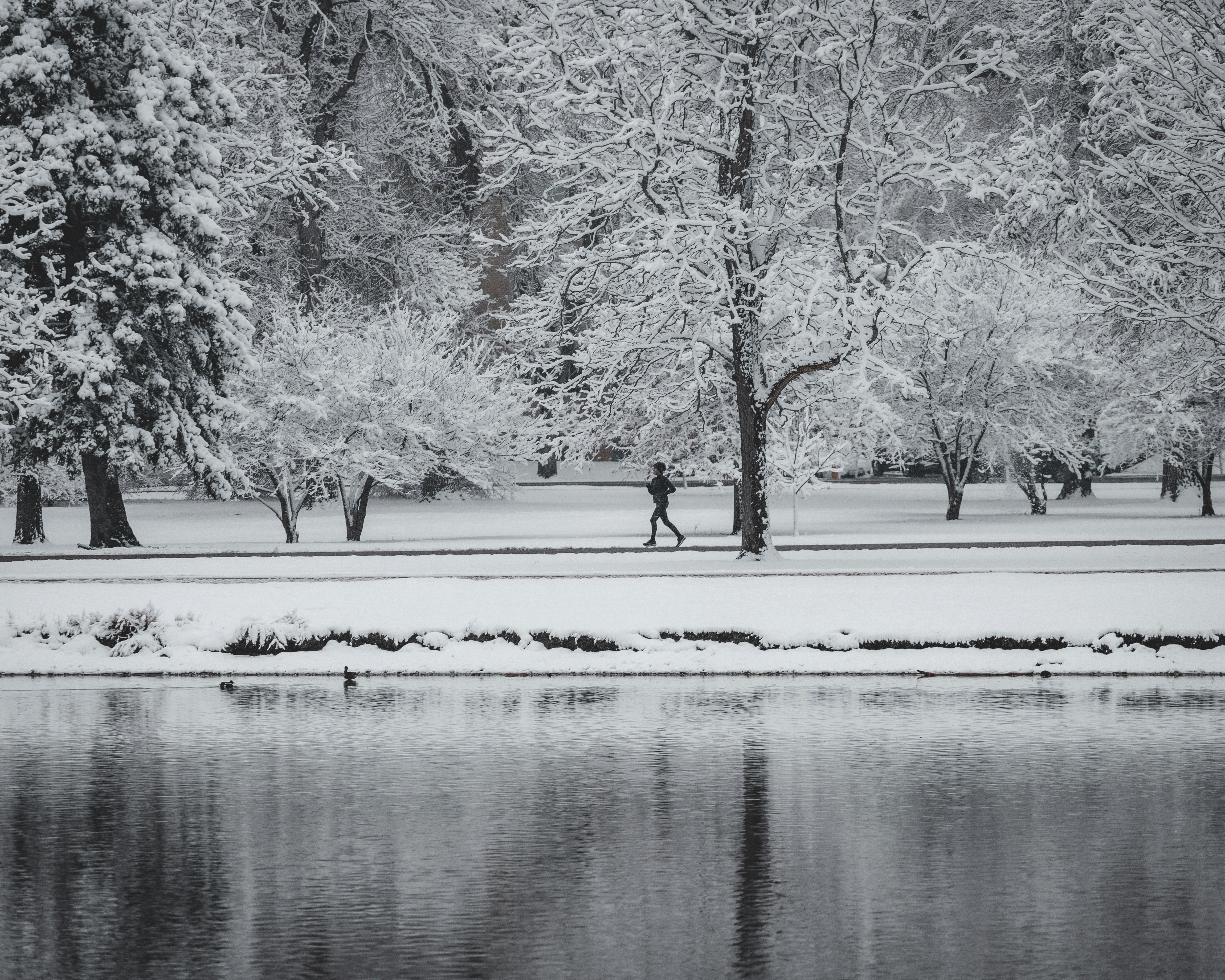 Photo by mgeslinphoto