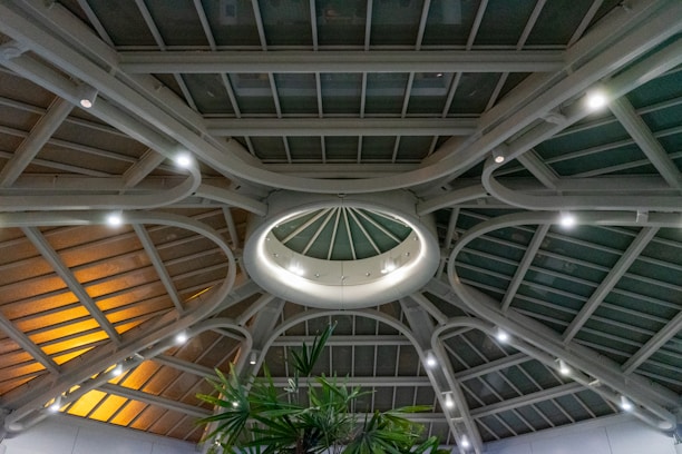 A modern architectural ceiling structure features a circular central design, with steel beams radiating outward. The ceiling is complemented by large glass panels, allowing natural light to filter through. Ambient lighting is strategically placed on the beams. A subtle green plant occupies the lower portion, adding a touch of nature.