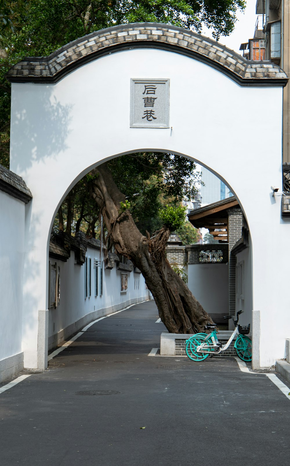 green and white bicycle parked beside white concrete building during daytime