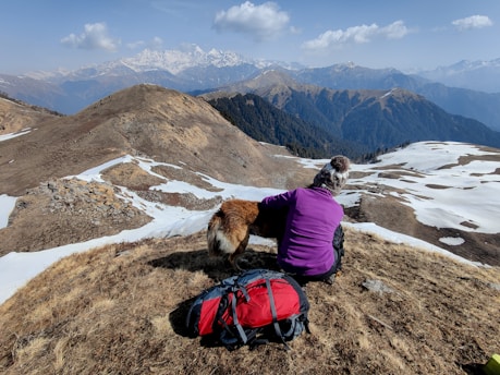 woman in purple jacket and pink pants sitting on rock near brown dog during daytime