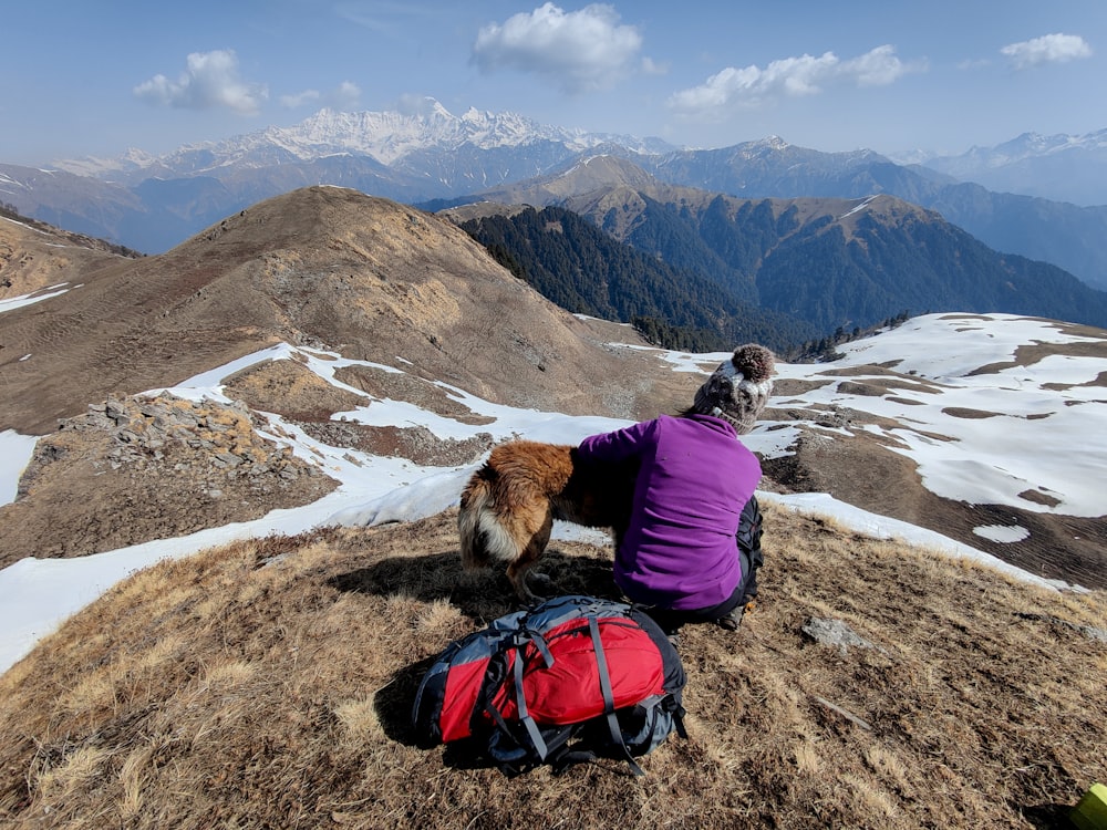 woman in purple jacket and pink pants sitting on rock near brown dog during daytime