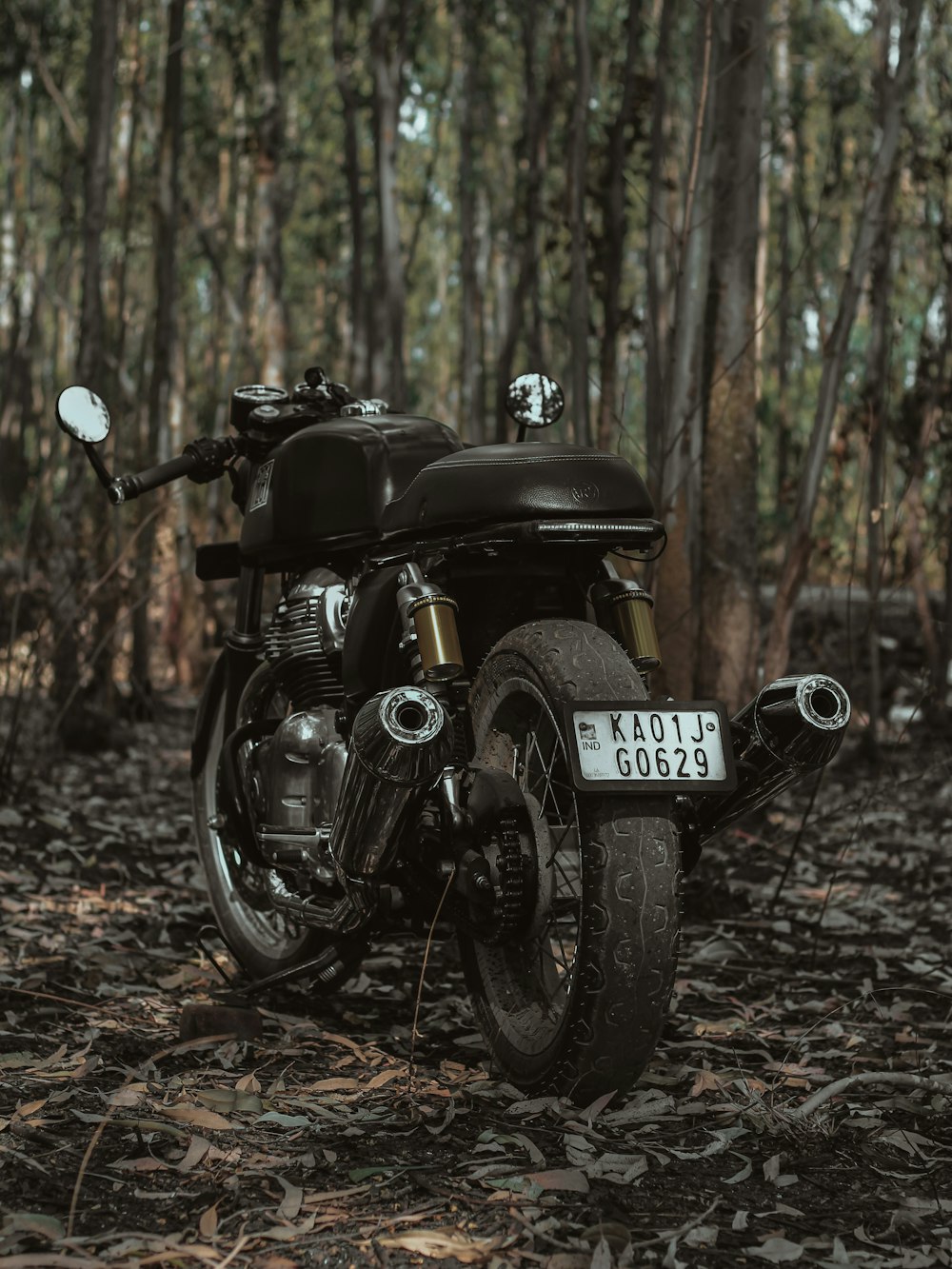 motocicleta negra y gris sobre hojas secas marrones