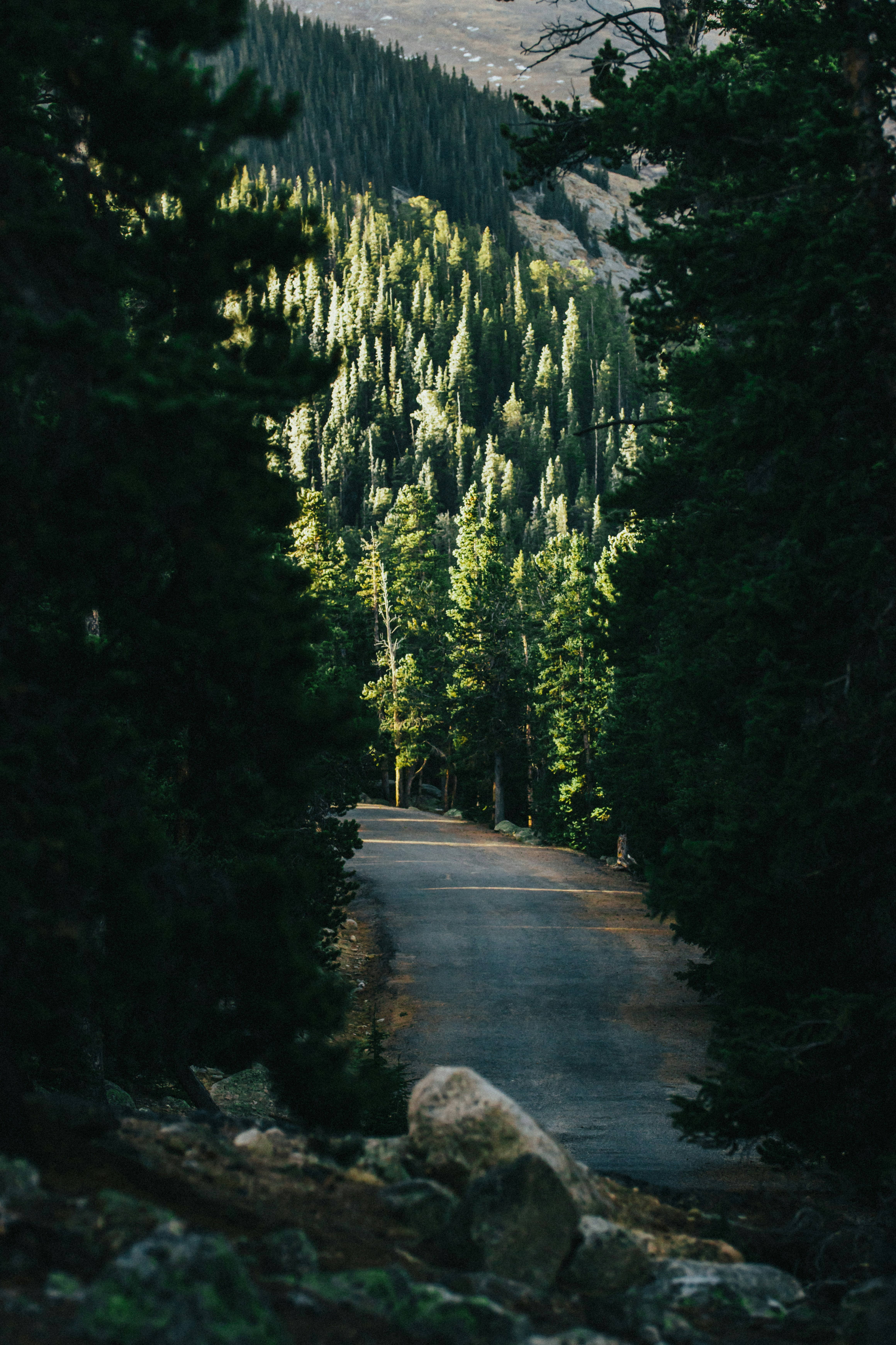 Photo by jakobnoahrosen