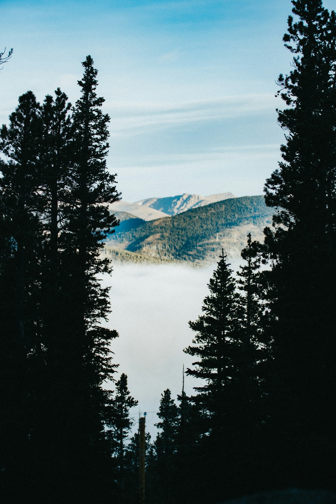 green trees near lake under blue sky during daytime