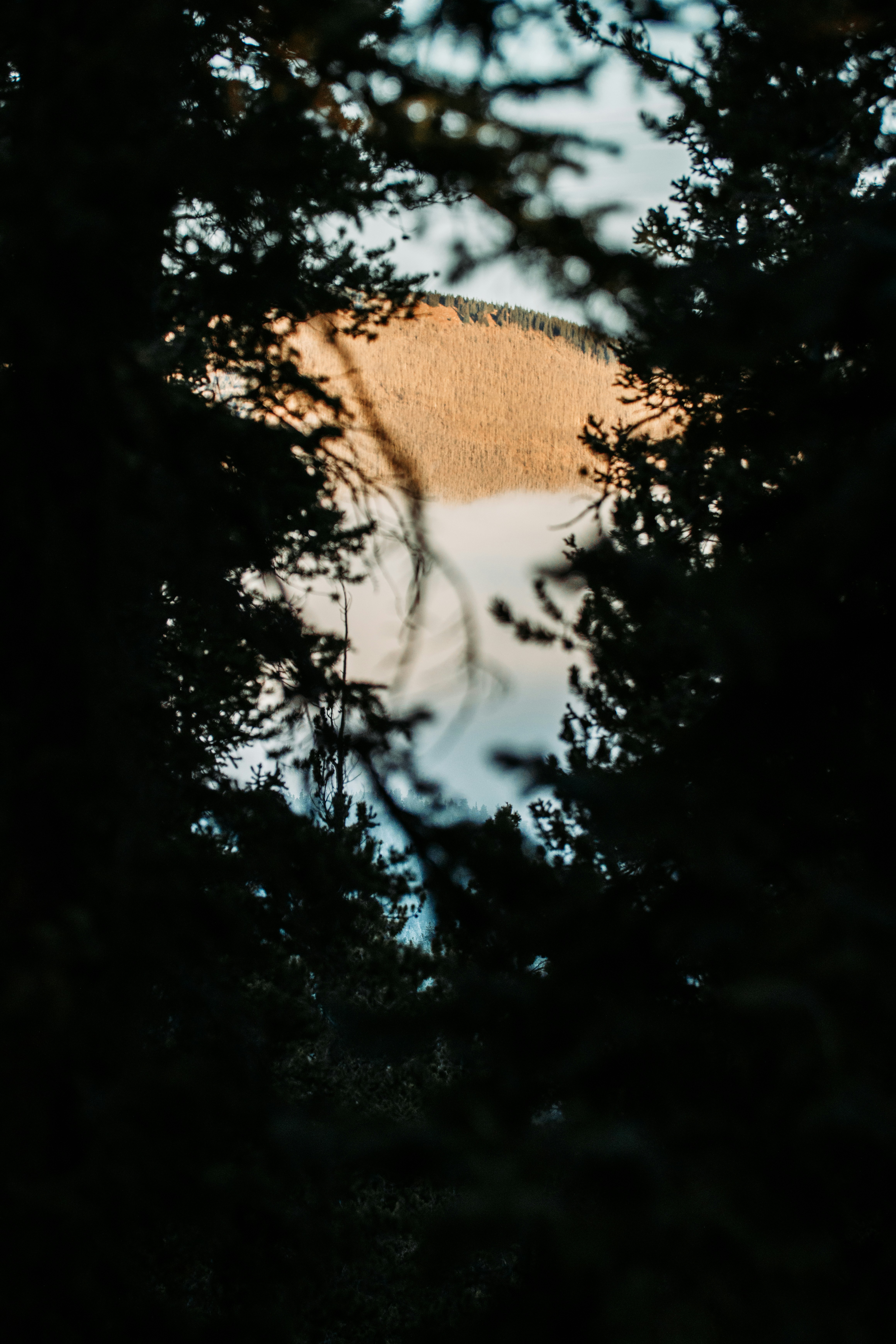 Photo by jakobnoahrosen