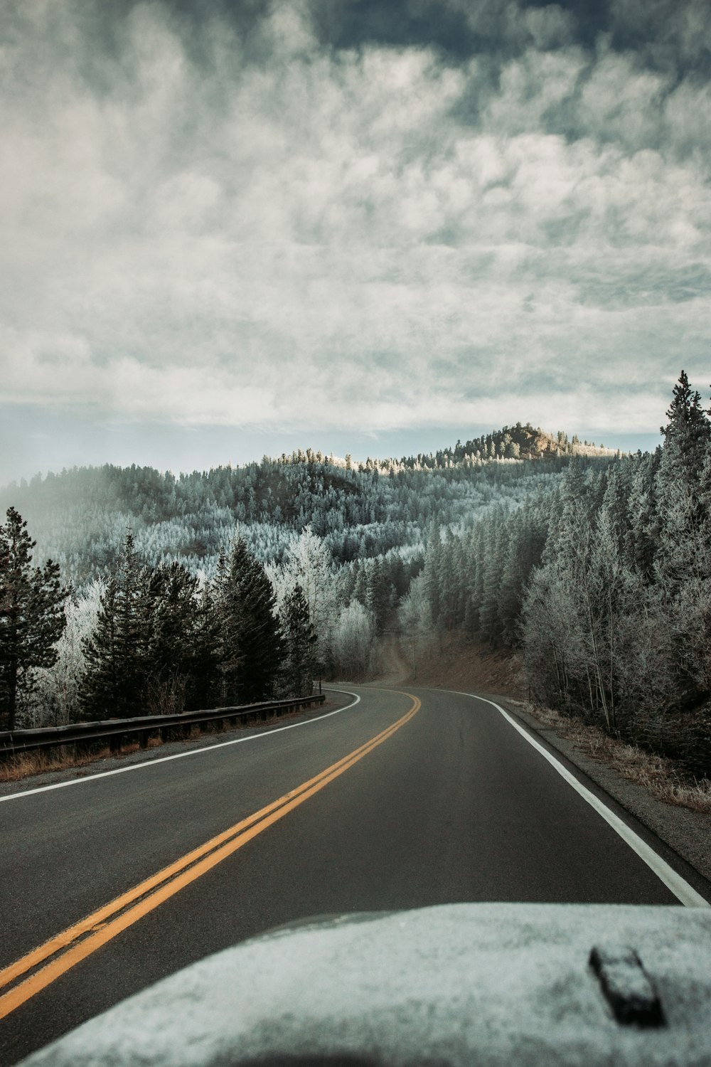 gray concrete road between trees under white sky during daytime