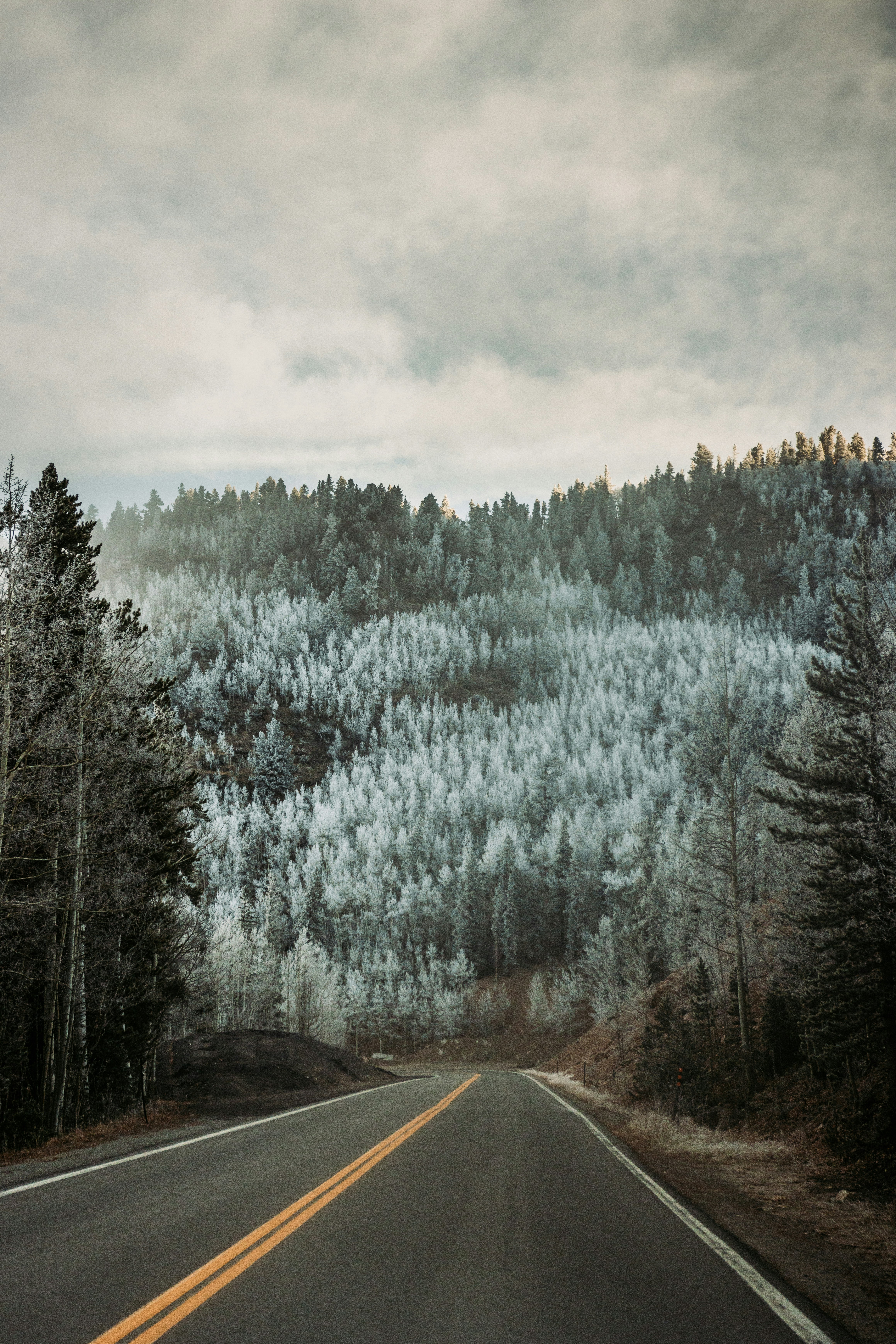 Photo by jakobnoahrosen