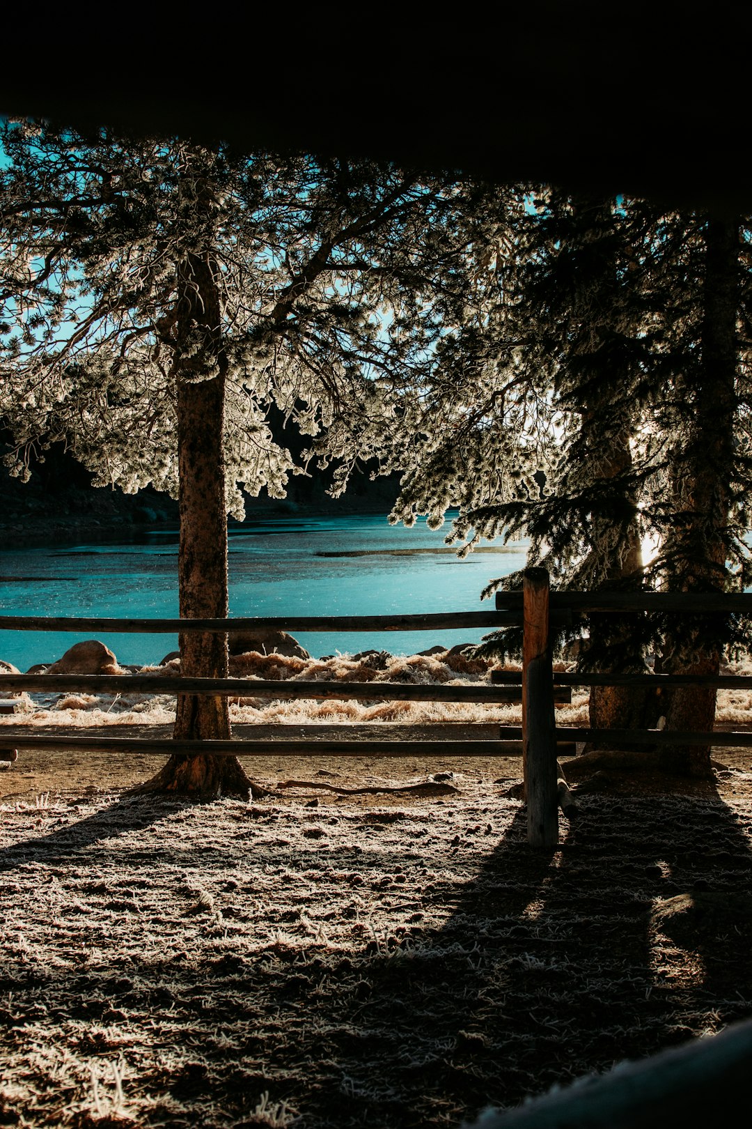 brown wooden fence near body of water during daytime