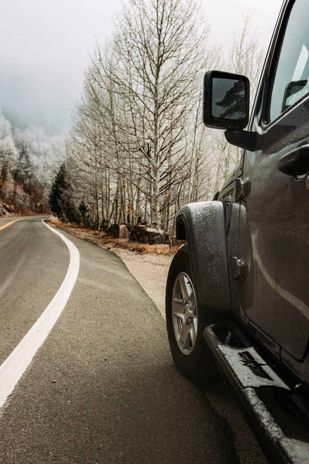 black suv on road near bare trees during daytime