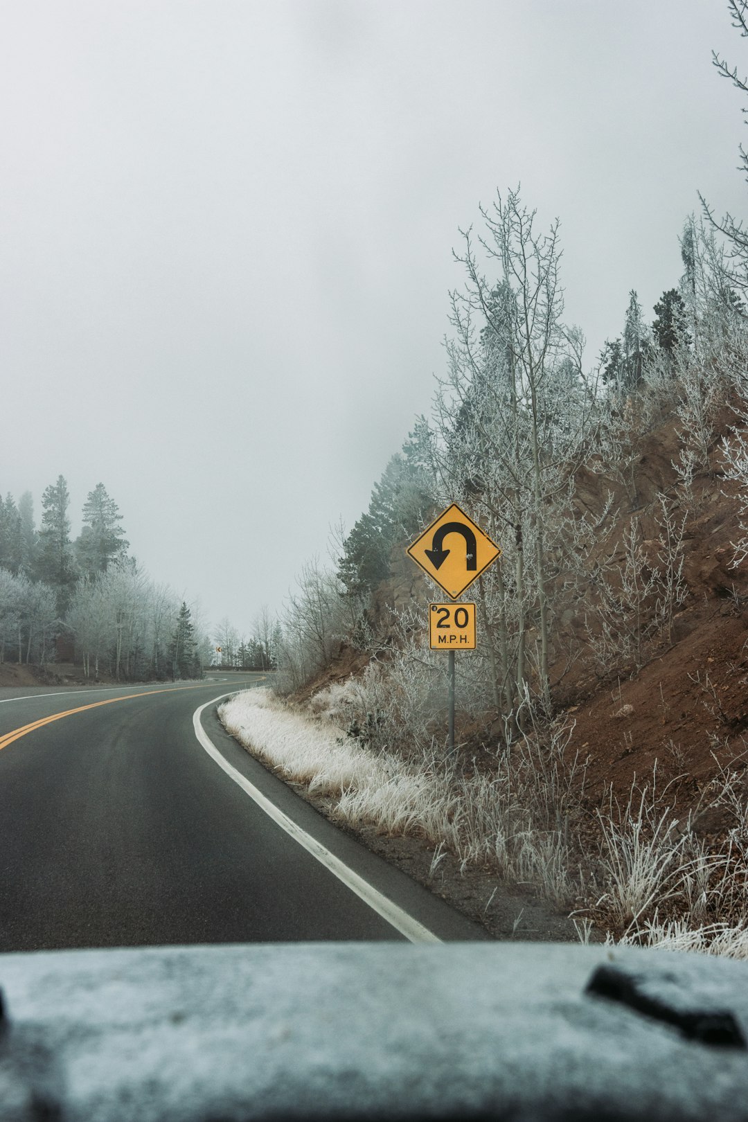 yellow and black road sign on gray asphalt road