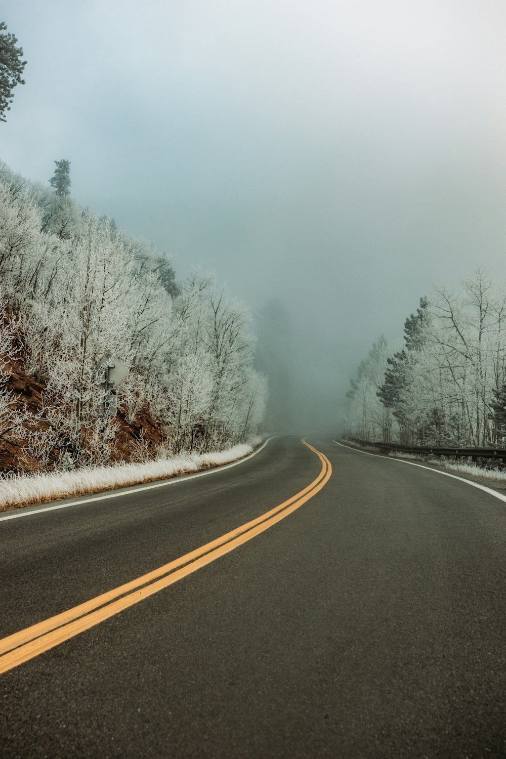 black asphalt road between trees covered with snow during daytime