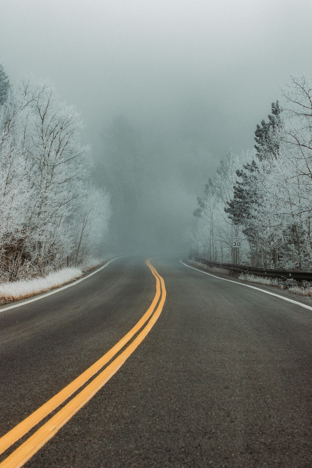 gray asphalt road between trees covered with fog