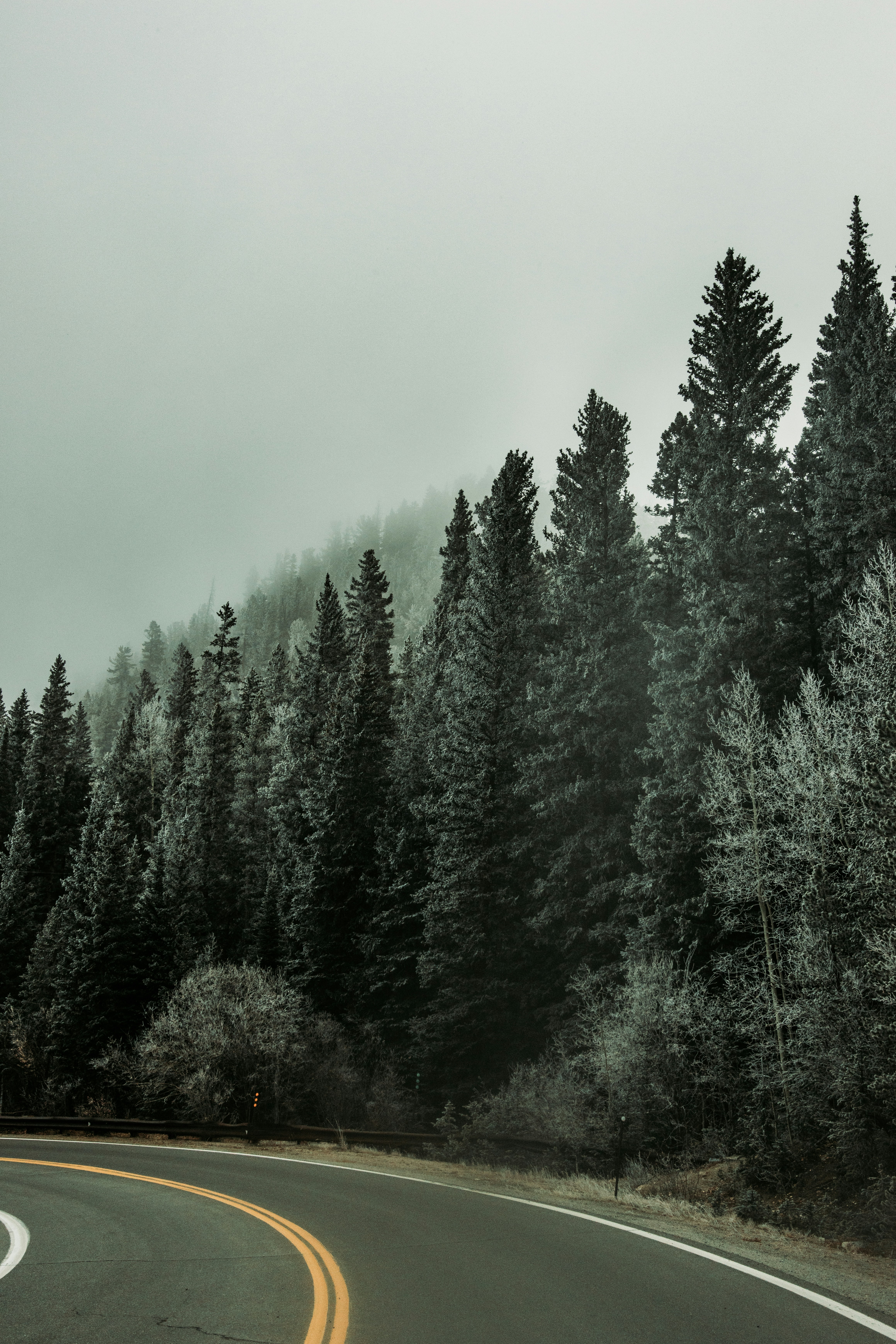 Photo by jakobnoahrosen