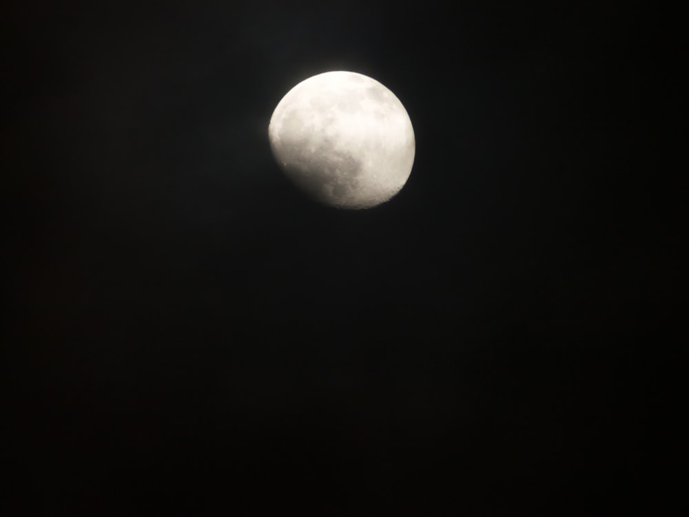 luna piena nel cielo notturno scuro