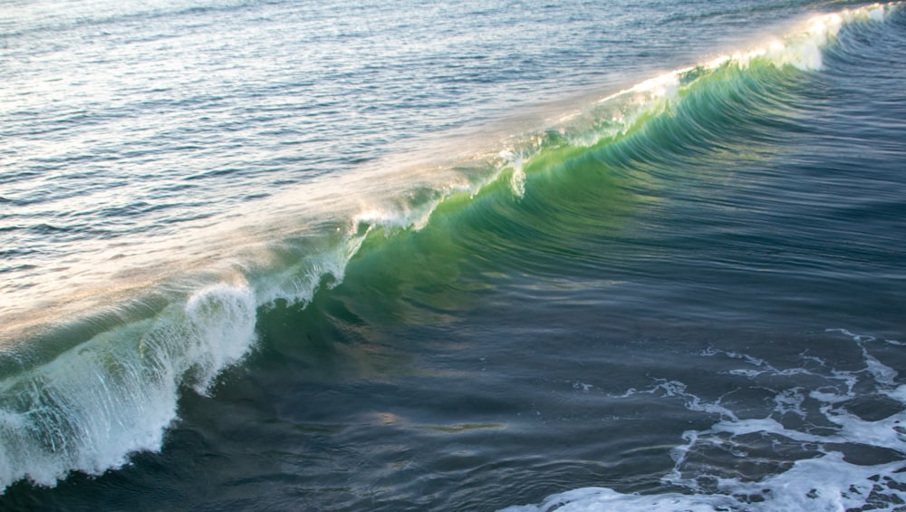 olas oceánicas verdes y blancas