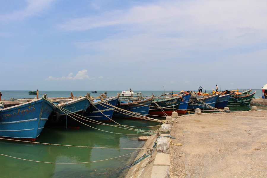 Fishing boats moored on the lagoon at Chilaw