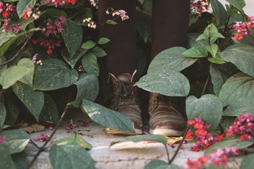 Leather shoes stand on a concrete surface surrounded by dense green foliage and vibrant pink and red flowers.