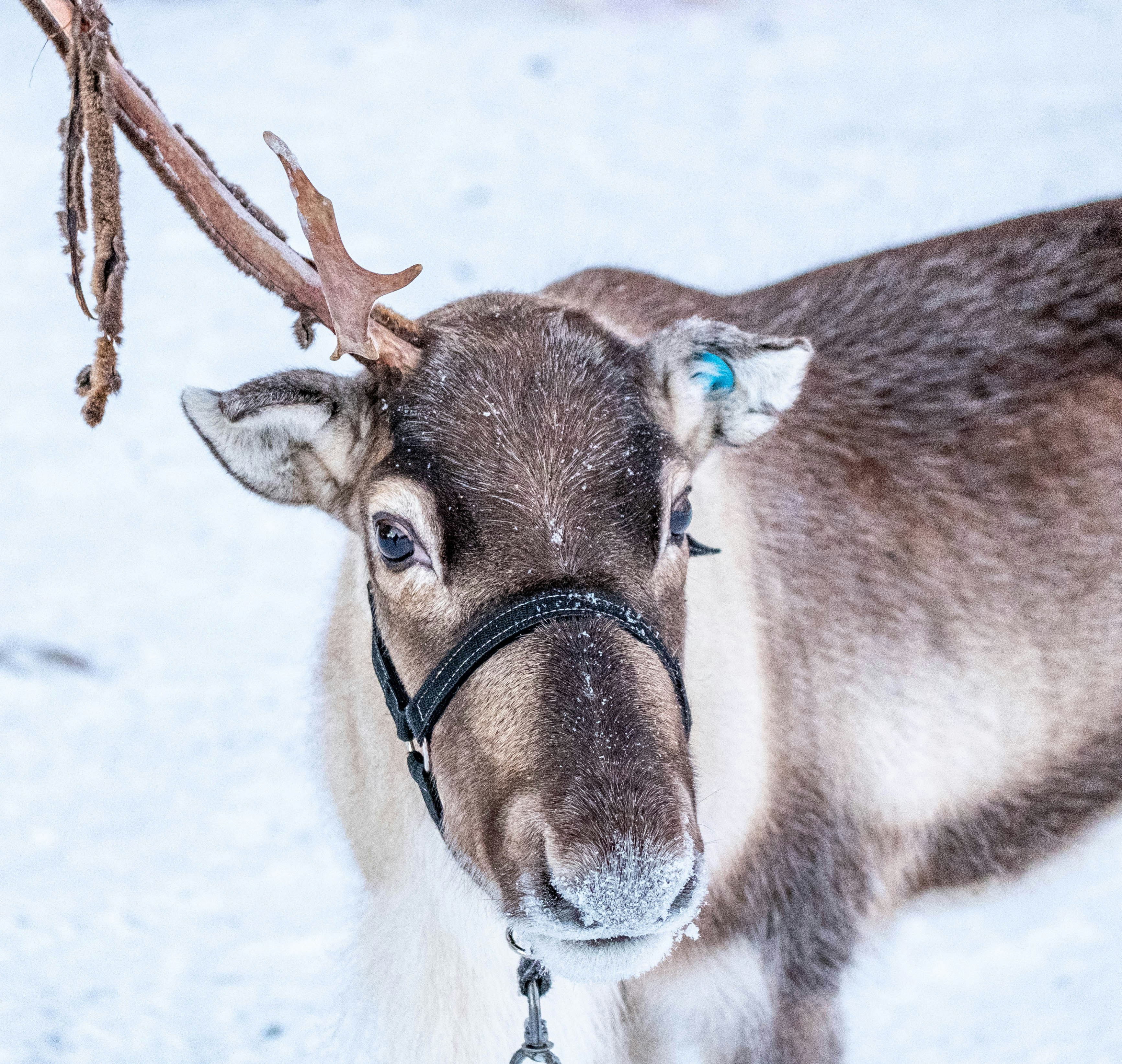 Photo by thejohnnyme