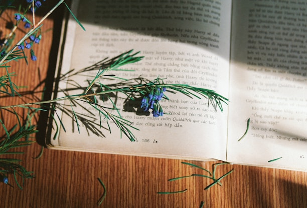 A captivating image of the book '43 Days' on a wooden table.