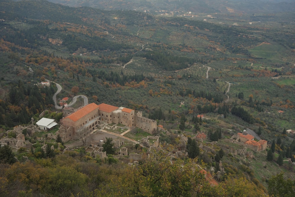 aerial view of green trees and houses during daytime