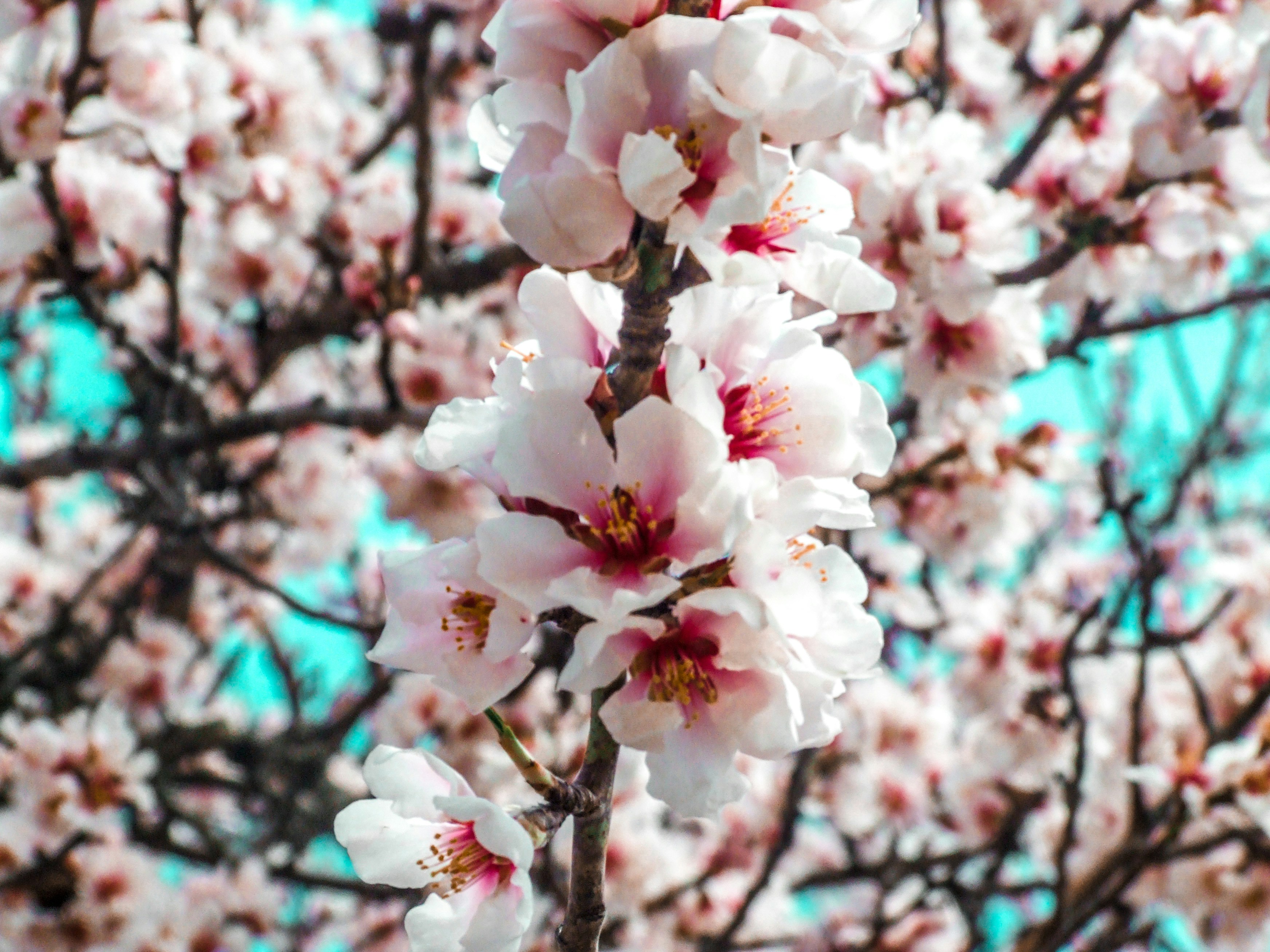 Photo by botondtakacs