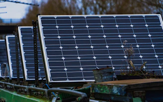 blue solar panels on brown wooden bench