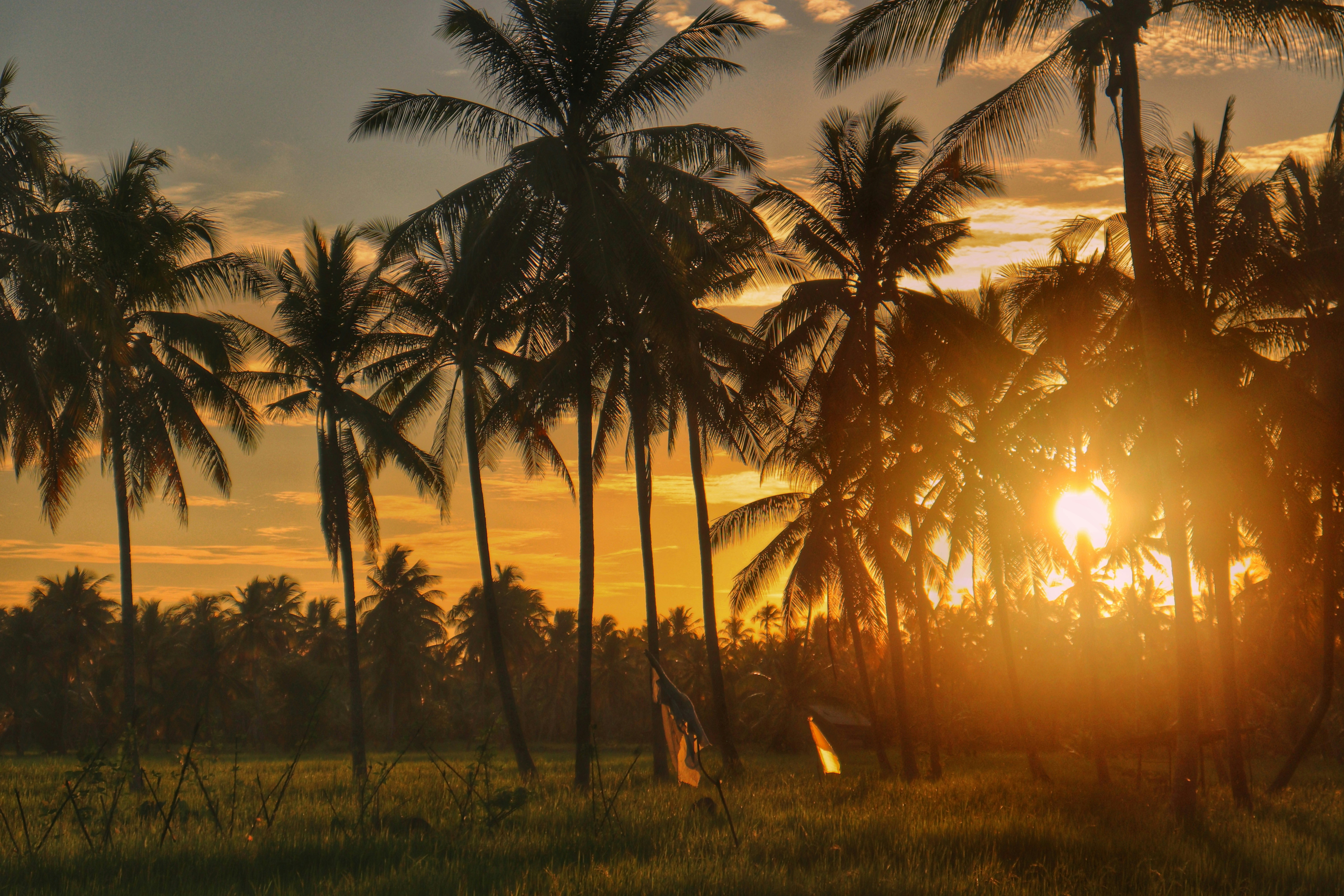 Photo by arf_syamsull